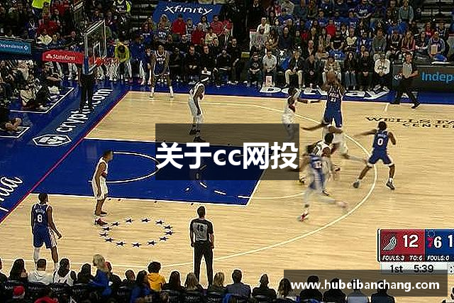 关于cc网投